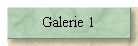 Galerie 1