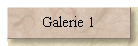 Galerie 1